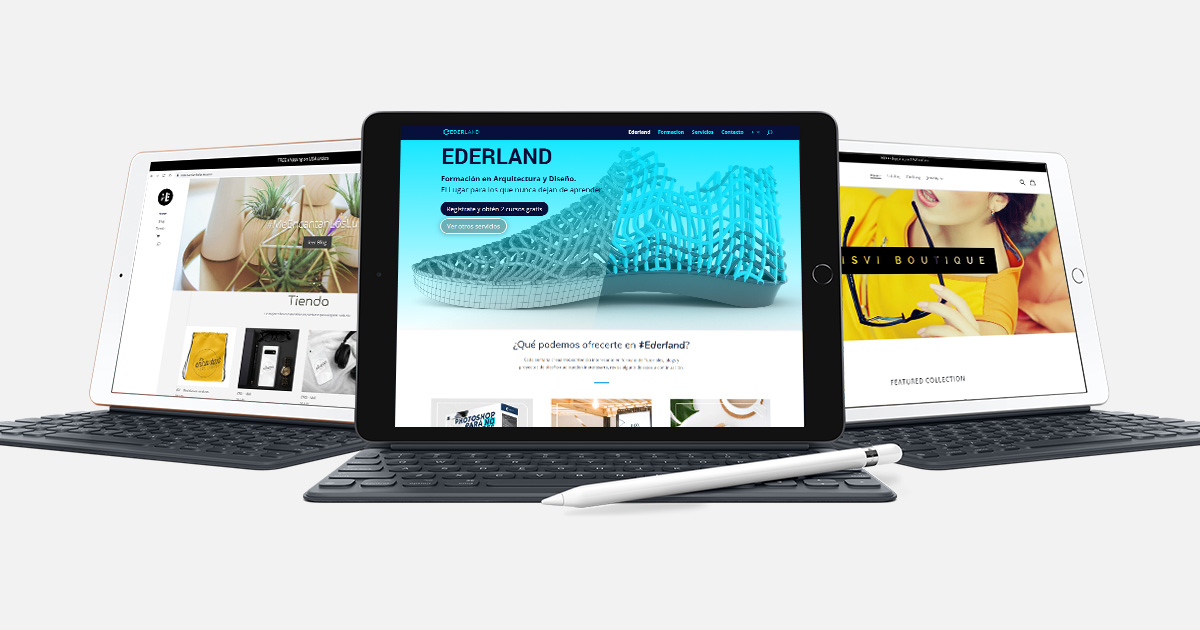 Ejemplo de página web diseñada por Ederland